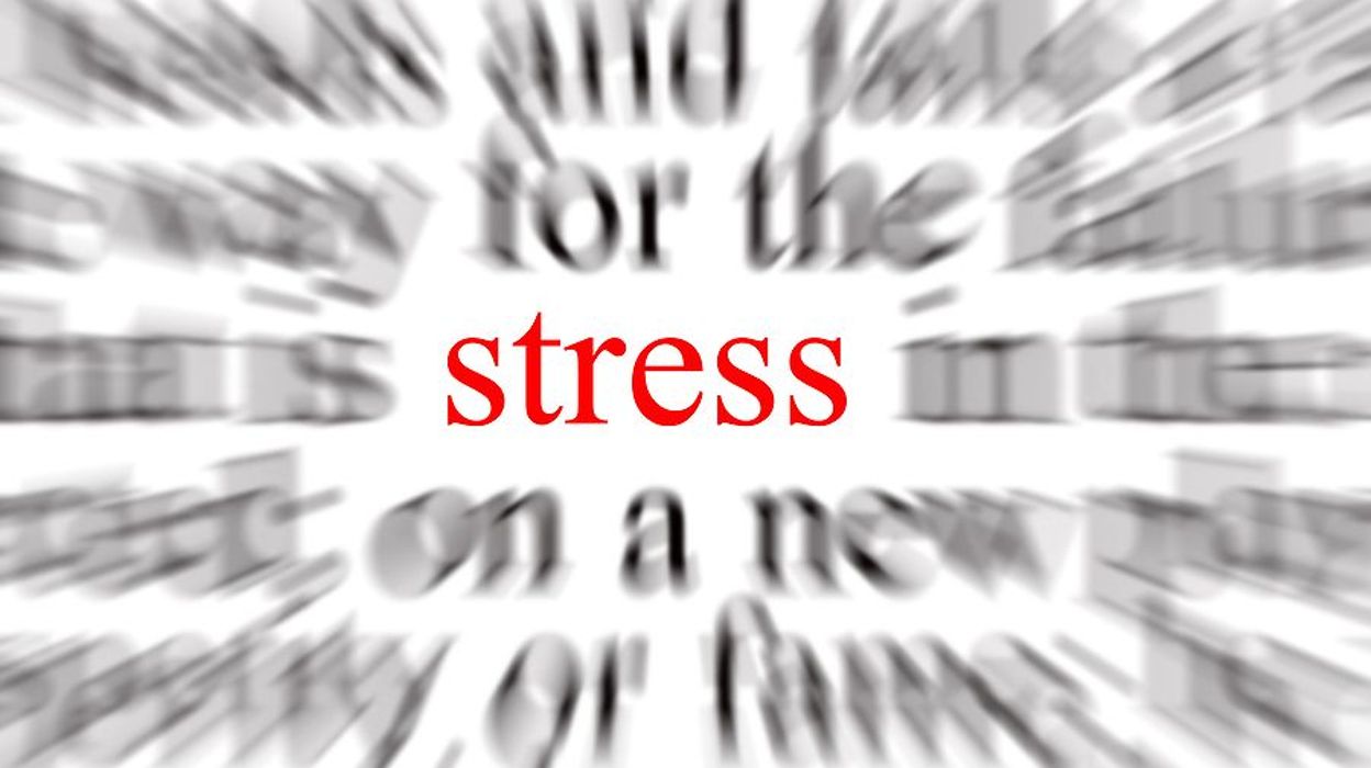 Make A Sentence With Word Stress