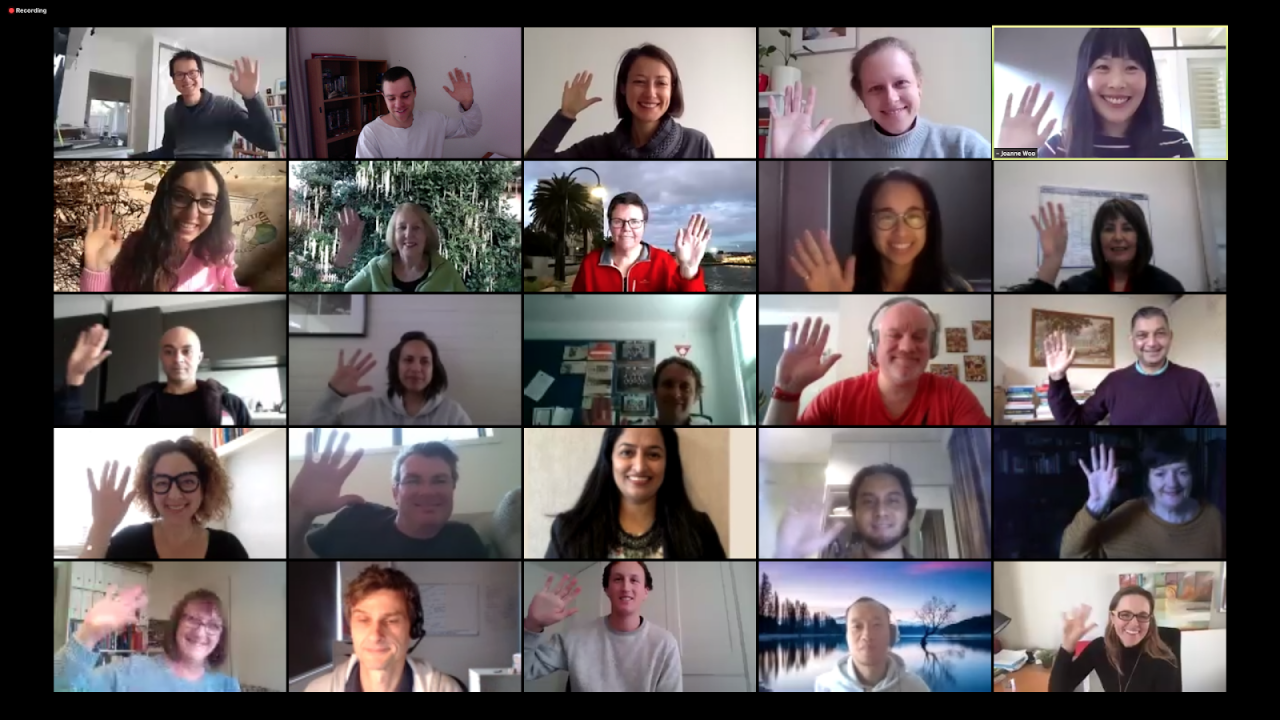 Screenshot of online American English pronunciation Meetup class with participants waving